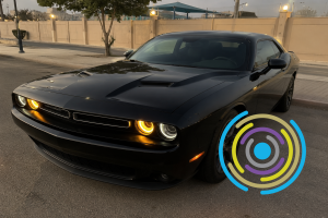 auction image